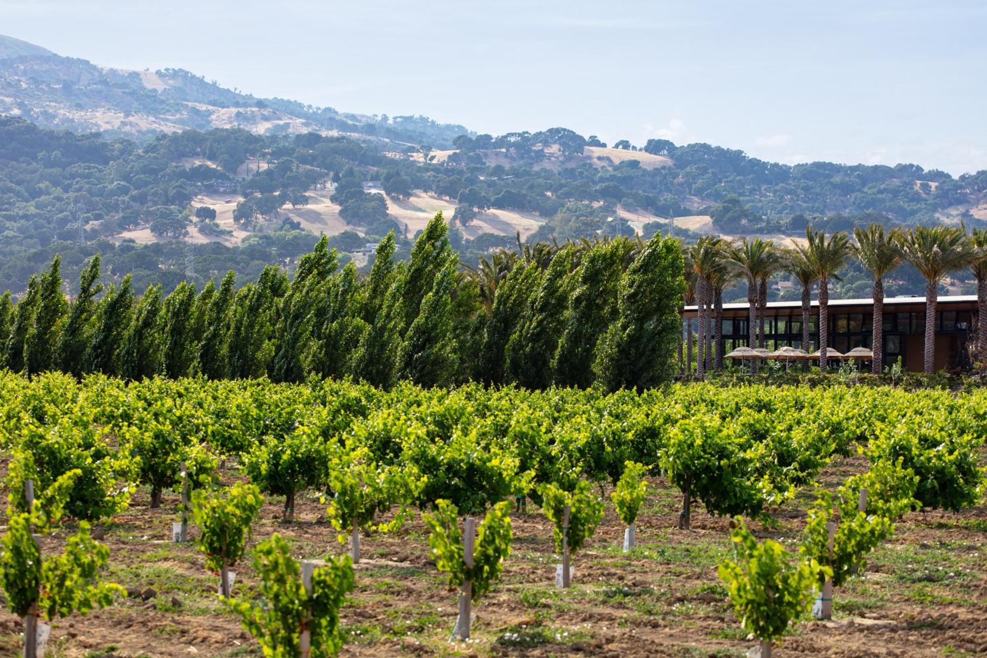 Homewood Suites By Hilton Fairfield-Napa Valley Area Cordelia Dış mekan fotoğraf